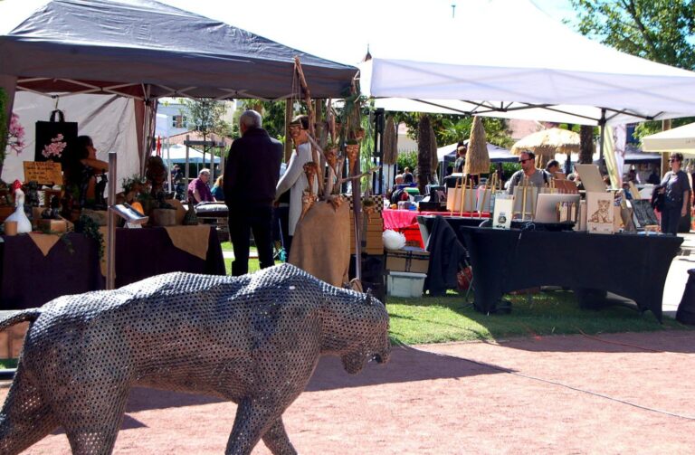 environ 80 artisans ont expose au sein du parc becot ce dimanche dans le cadre du forum des createurs une reussite pour cloturer la summer fiesta 2024 photo vincent armillon 1726505210